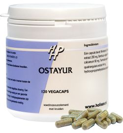 Holisan Holisan Ostayur (120 capsules)