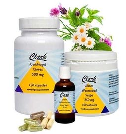 Holisan Holisan Parasietenkuur 6 week z ornithine/arginine (1 set)