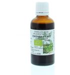 De Cruydhof Quercus robur / eikenbast tinctuur bio (50 ml) 50 ml thumb