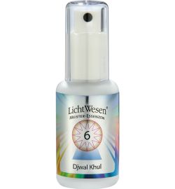 Lichtwesen Lichtwesen Djwal khul tinctuur 6 (30 ml)