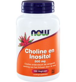 Now Now Choline en inositol 500 mg (100 vega capsules)