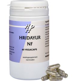 Holisan Holisan Hridayur (60 capsules)