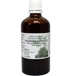 De Cruydhof Aesculus hippocast/paardenkastanje tinctuur (100 ml) 100 ml thumb