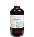 De Cruydhof Withania Somnifera/Ashwagandha Tinctuur (100 ml) 100 ml thumb
