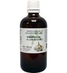 De Cruydhof Allium sativum bulb/knoflook tinctuur bio (100 ml) 100 ml thumb