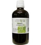De Cruydhof Avena sativa herb/haver tinctuur (100 ml) 100 ml thumb