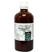 De Cruydhof De Cruydhof Carduus marianus fructus / mariadistel tinctuur (100 ml)