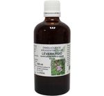 De Cruydhof Eupatorium perfoliatum / leverkruid tinctuur (100 ml) 100 ml thumb