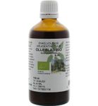 De Cruydhof Olea europaea folia / olijfblad tinctuur bio (100 ml) 100 ml thumb