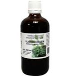 De Cruydhof Sambucus nigra / vlierbloesem tinctuur bio (100 ml) 100 ml thumb