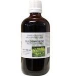 De Cruydhof Solidago Virg Herb / Guldenroede Tinctuur (100 ml) 100 ml thumb