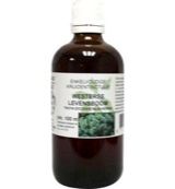 Natura Sanat Natura Sanat Thuja occidentalis / levensboom tinctuur (100 ml)