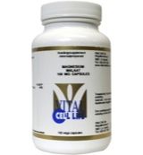 Vital Cell Life Vital Cell Life Magnesium malaat 150 mg (100vc)