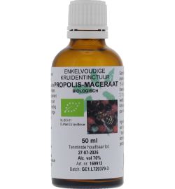 De Cruydhof De Cruydhof Propolis maceraat tinctuur bio (50 ml)