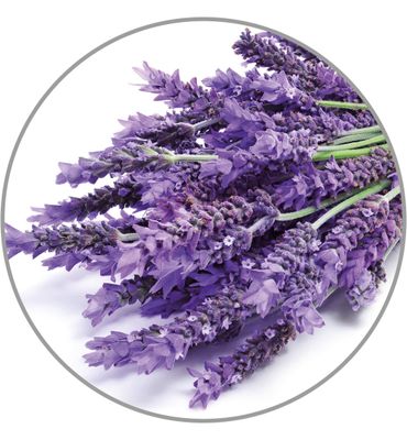 Medisana Aroma essence lavendel (10ml) 10ml
