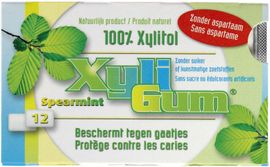 Xyligum Xyligum Spearmint (15 gr)