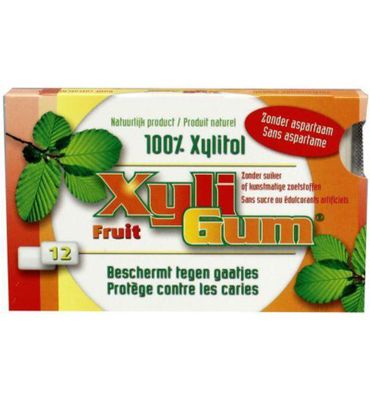 Xyligum Fruit (12st) 12st
