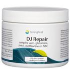 Springfield DJ Repair glut/nac/zink (200g) 200g thumb
