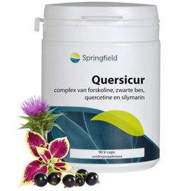 Springfield Springfield Quersicur antioxy complex (90 vega capsules)