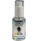 Lichtwesen Lichtwesen Ontwikkeling/stabiliteit parelextract met calcium (30 ml)