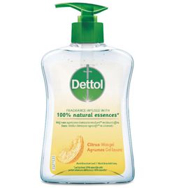 Dettol Dettol Wasgel citrus (250 ml)