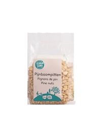 Terrasana TerraSana RAW Pijnboompitten bio (150 gr)