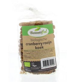 Bountiful Bountiful Cranberry rozijnkoek bio (250 gr)