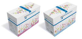 Heka Heka Kraampakket OT 400-2 (1 set)