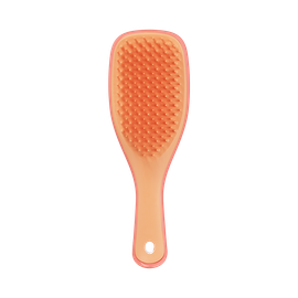 Tangle Teezer Tangle Teezer Borstel Apricot Mini (1 stuk)