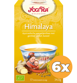 Yogi Tea 6x Yogi Tea Himalaya bio (17 stuks)