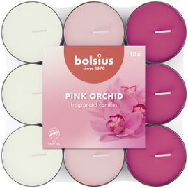 Bolsius Bolsius Geurtheelicht 3,5U Orchid Scented Pack (18 stuks)