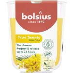 Bolsius Geurglas 80/73 True Scents Mimosa (1 stuk) 1 stuk thumb