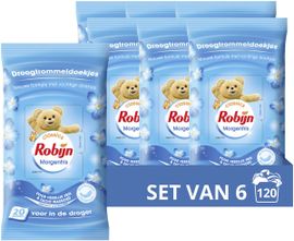 Robijn 6x Robijn Droogtrommeldoekjes Morgenfris (20 stuks)