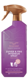 Bruynzeel Bruynzeel Zuiver & Fris interieurspray Fresh Wood (500 ml)