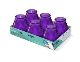 Bolsius Bolsius Horeca Twilight 104/99 Paars (6 stuks)