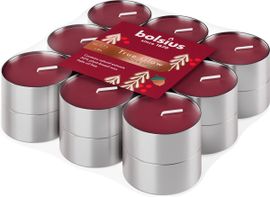 Bolsius Bolsius True Glow Geurtheelicht Brick Winter Spices (18 stuks)