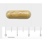 Orthica Silymarin-100 (90 vega capsules) 90 vega capsules thumb