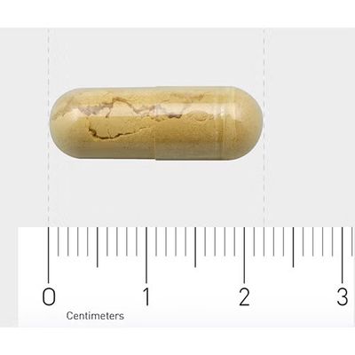 Orthica Silymarin-100 (90 vega capsules) 90 vega capsules