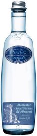 Pineo Pineo Mineraalwater Intens, Met Koolzuur (500 ml)