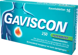 Gaviscon Gaviscon Gaviscon 250 Pepermunt 250 mg (24 kauwtabletten)