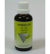 Nestmann Natrium muriaticum 29 Nemaplex (50ml) 50ml