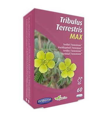 Trenker Tribulus terretris max (60ca) 60ca