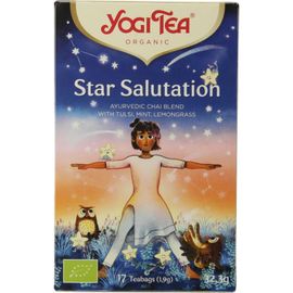 Yogi Tea Yogi Tea Star Salutation (17st) (17 st)