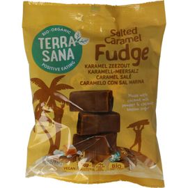 Terrasana TerraSana Fudge karamel zeezout (150g)