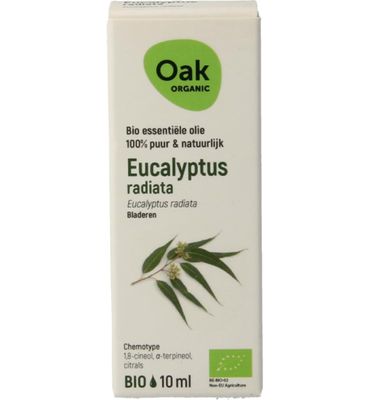 Oak Eucalyptus radiata (10ml) 10ml