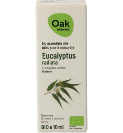 Oak Oak Eucalyptus radiata (10ml)