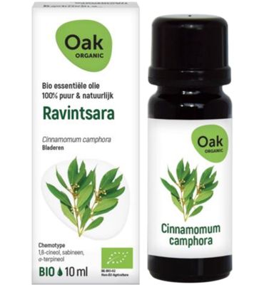 Oak Ravintsara (10ml) 10ml
