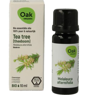 Oak Tea tree (theeboom) (10ml) 10ml
