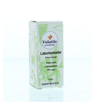 Volatile Latchenkiefer (10ml) 10ml