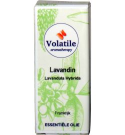 Volatile Volatile Lavandin (10ml)